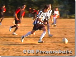 Liga de Futebol Amador de Vila Real